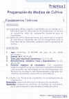 Diapositiva1.JPG (104148 bytes)