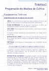Diapositiva2.JPG (106698 bytes)