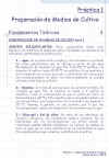 Diapositiva3.JPG (112076 bytes)
