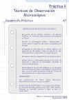 Diapositiva13.JPG (80788 bytes)