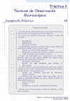 Diapositiva15.JPG (84915 bytes)