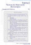 Diapositiva17.JPG (89993 bytes)