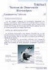 Diapositiva3.JPG (106911 bytes)