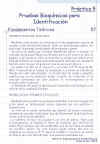 Diapositiva2.JPG (125078 bytes)