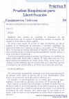 Diapositiva4.JPG (119854 bytes)
