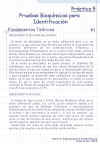 Diapositiva6.JPG (119605 bytes)
