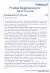 Diapositiva7.JPG (131235 bytes)