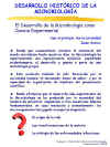 Diapositiva11.JPG (90035 bytes)