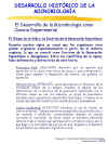 Diapositiva12.JPG (108521 bytes)