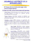 Diapositiva13.JPG (100862 bytes)