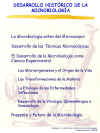 Diapositiva1.JPG (73970 bytes)