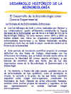 Diapositiva20.JPG (120940 bytes)