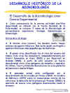 Diapositiva21.JPG (111018 bytes)