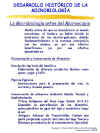 Diapositiva2.JPG (90287 bytes)