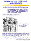Diapositiva3.JPG (88688 bytes)