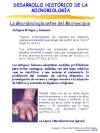 Diapositiva4.JPG (89024 bytes)