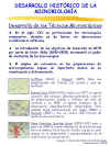 Diapositiva9.JPG (105195 bytes)
