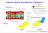 Diapositiva1.JPG (91230 bytes)