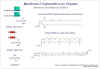 Diapositiva4.JPG (73085 bytes)