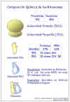 Diapositiva2.JPG (61896 bytes)