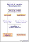 Diapositiva10.JPG (49314 bytes)