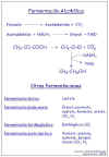 Diapositiva12.JPG (53798 bytes)