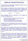 Diapositiva15.JPG (108458 bytes)