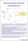 Diapositiva23.JPG (80551 bytes)
