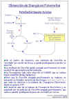 Diapositiva24.JPG (88240 bytes)
