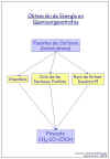Diapositiva8.JPG (41781 bytes)