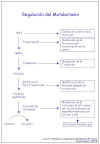 Diapositiva9.JPG (47144 bytes)