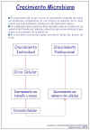 Diapositiva1.JPG (63803 bytes)