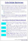 Diapositiva3.JPG (119682 bytes)