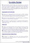 Diapositiva6.JPG (99380 bytes)