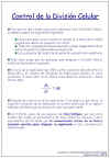 Diapositiva8.JPG (83295 bytes)