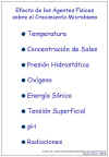 Diapositiva1.JPG (46544 bytes)
