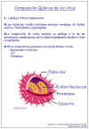 Diapositiva9.JPG (59991 bytes)