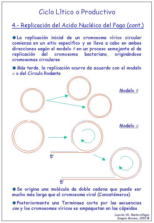 Material Complementario