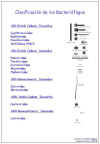 Diapositiva2.JPG (48842 bytes)