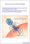 Diapositiva5.JPG (59616 bytes)