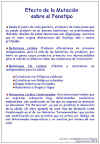 Diapositiva13.JPG (101618 bytes)