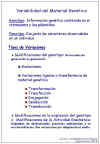 Diapositiva2.JPG (72500 bytes)