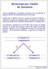 Diapositiva7.JPG (72204 bytes)