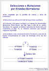 Diapositiva8.JPG (69023 bytes)