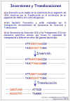 Diapositiva9.JPG (73597 bytes)