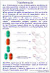 Diapositiva1.JPG (100240 bytes)