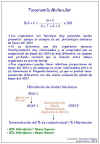 Diapositiva3.JPG (81279 bytes)