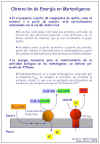 Diapositiva10.JPG (83320 bytes)