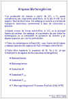 Diapositiva7.JPG (73834 bytes)