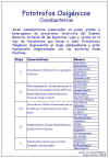 Diapositiva14.JPG (93328 bytes)